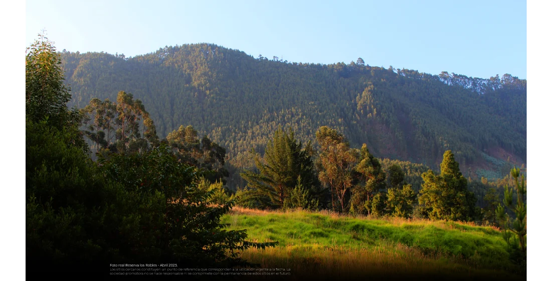 Imagen Reserva de los Robles